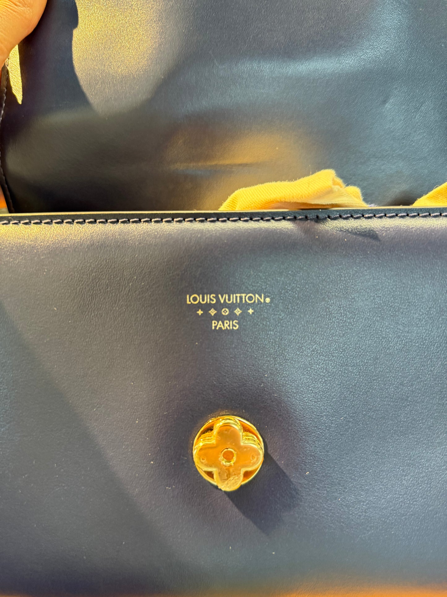 Louis Vuitton LV Pont 9 Bag