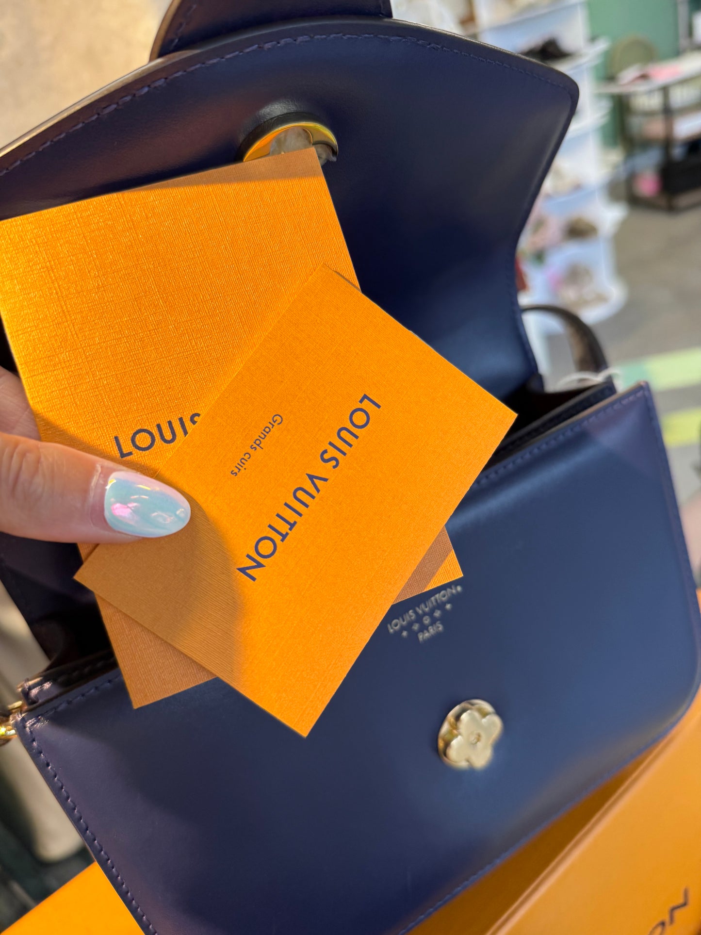 Louis Vuitton LV Pont 9 Bag