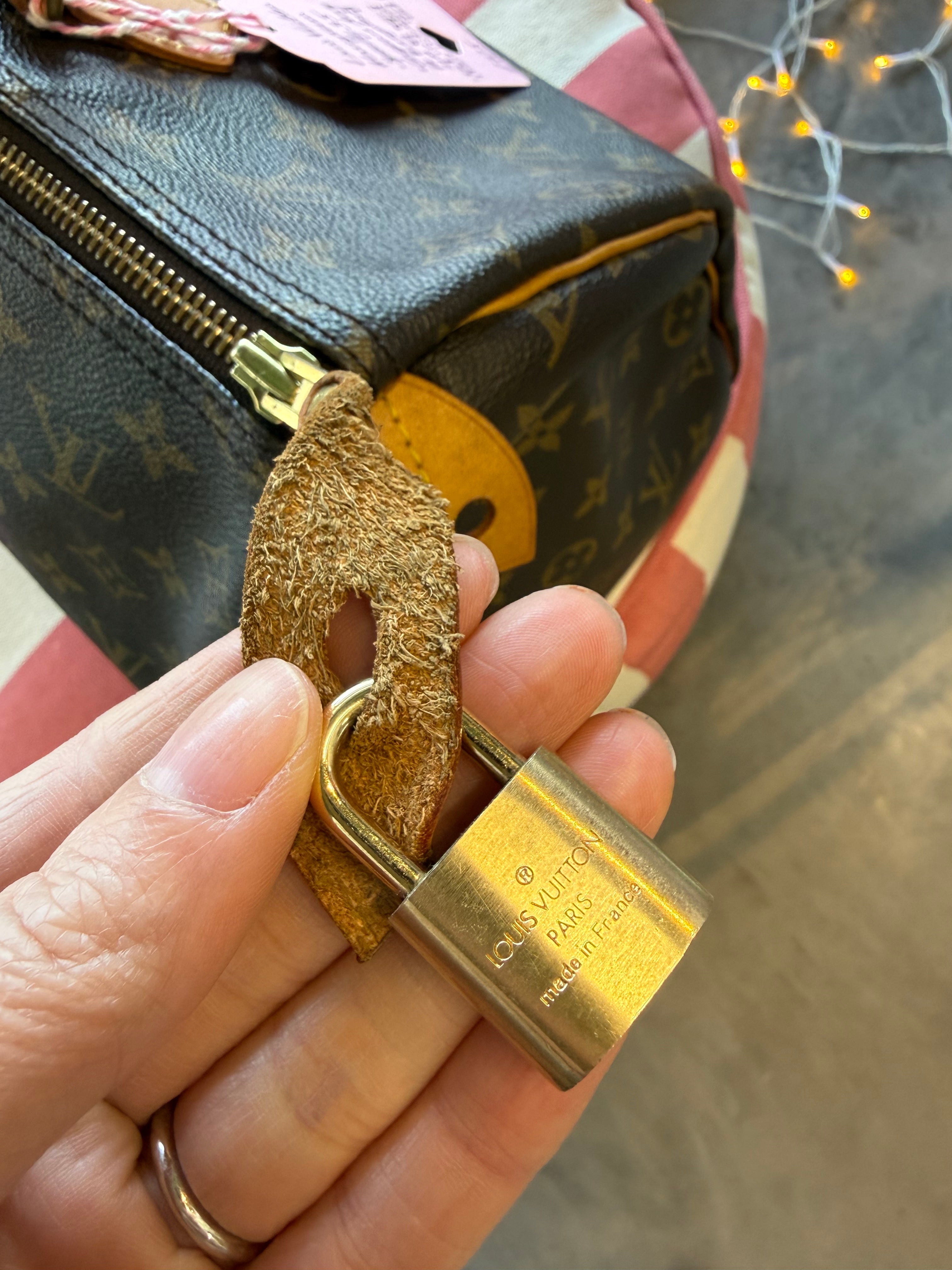 Louis Vuitton Speedy35 Monogram