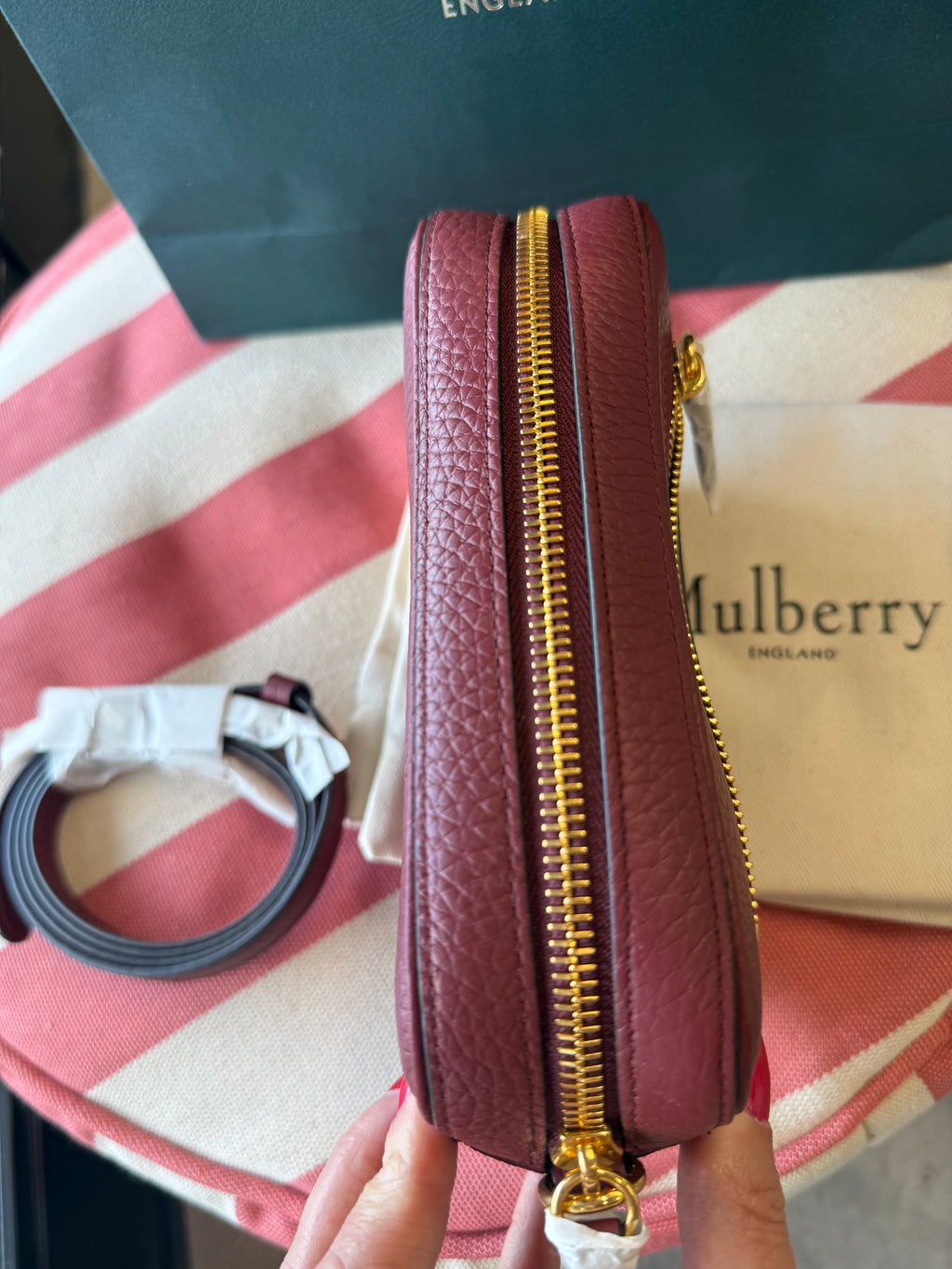 Mulberry Camera Bag