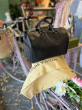 Louis Vuitton Speedy 25 Epi Leather