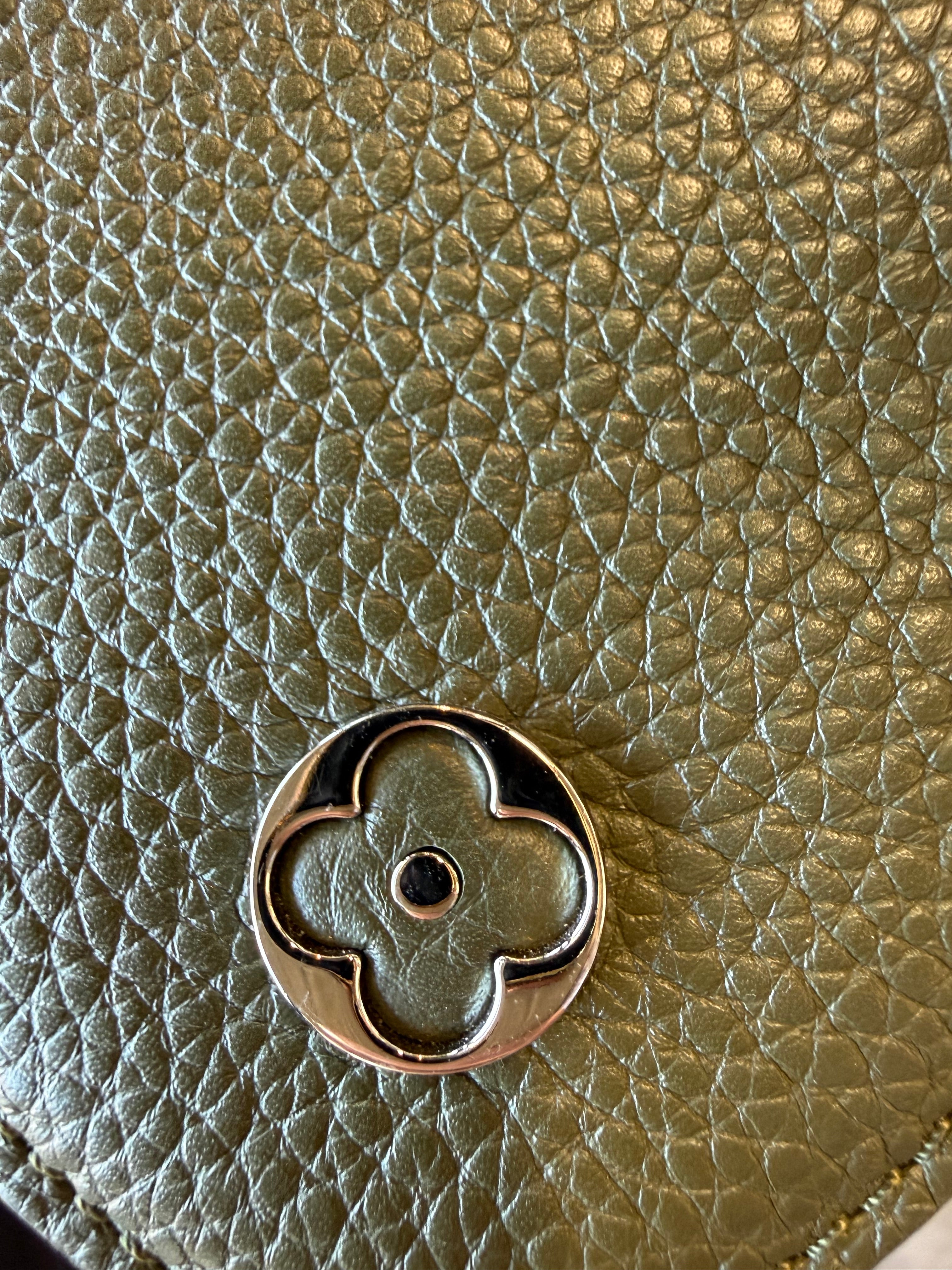 Louis Vuitton Large Capucines