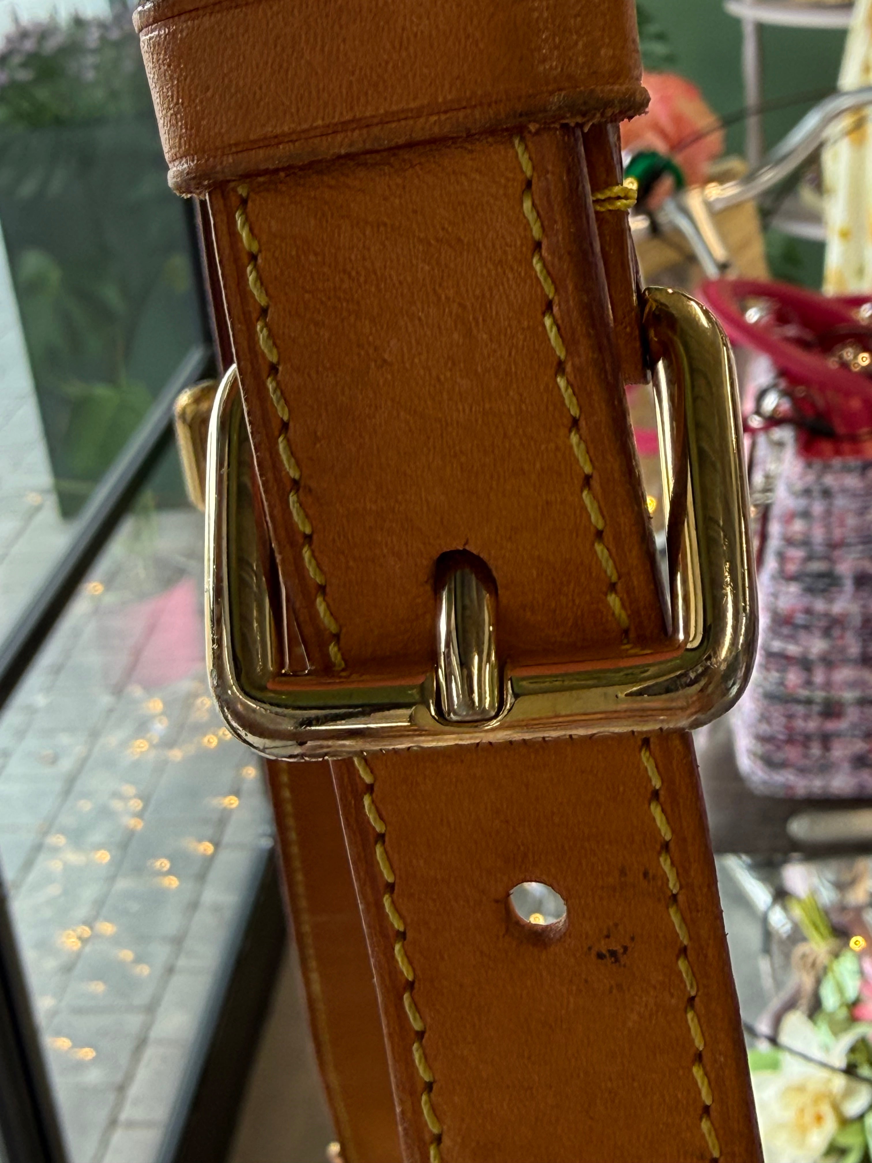 Louis Vuitton Bumbag
