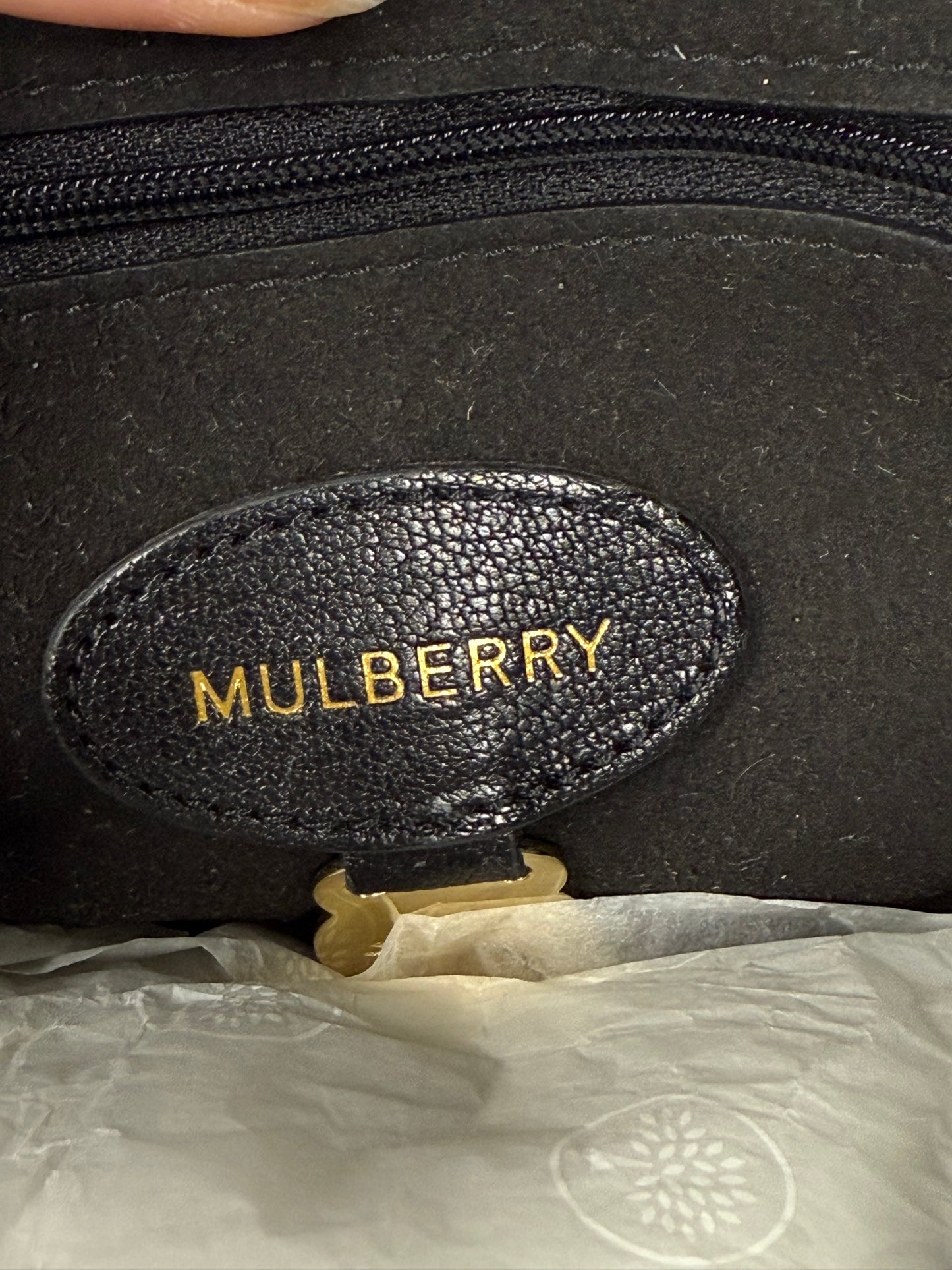 Mulberry Medium Lily