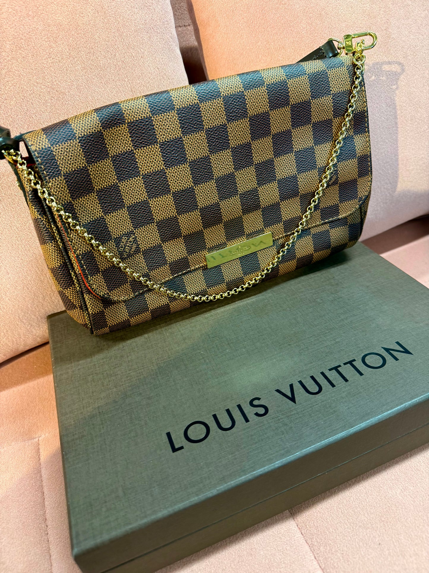 Louis Vuitton Favourite – Damier Ebene